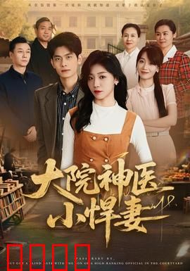 大院神医小悍妻：悍妻逆袭记