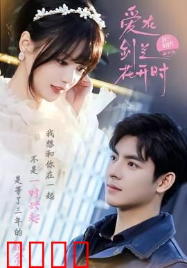 爱在剑兰花开时：剑兰之恋