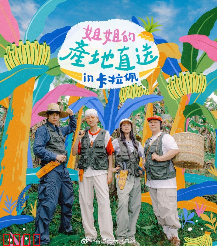 姐姐家的产地直送3：亲情与牵挂