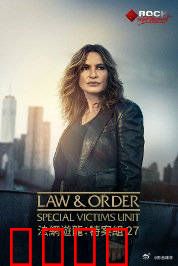 法律与秩序：正义之光