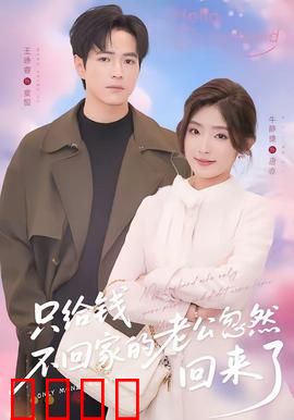 只给钱不回家的老公忽然回来了：反转人生