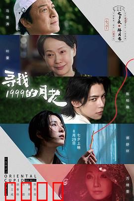 寻找1999的月老：时光里的爱情密钥