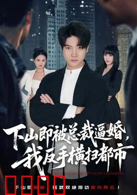 下山即被总裁逼婚，我反手横扫都市：绝世强者回归