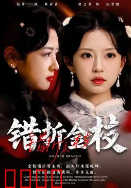 错折金枝：凤凰折翼