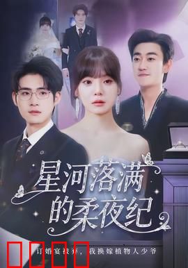 星河落满的柔夜纪：星海之约