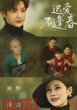 迟爱不逢春：遗憾错过