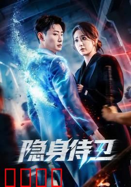 隐身侍卫：看不见的守护