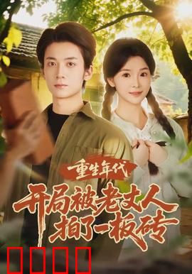 重生年代开局被老丈人拍了一板砖：逆袭新人生