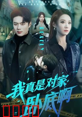 我真是对家卧底啊：双面间谍