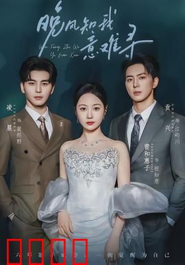 晚风知我意难寻：错位的时光