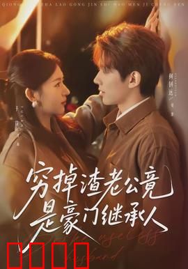 穷掉渣老公竟是豪门继承人：隐婚总裁的秘密