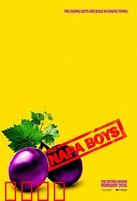纳帕酷男团：逆袭之路