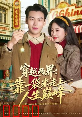 穿越两界：记忆裂缝