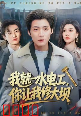 我就一水电工，你让我修大坝：草根英雄