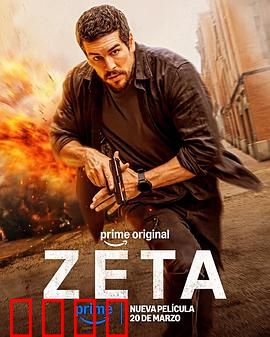 谍杀风暴：致命密码