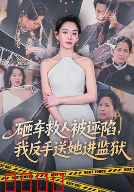 砸车救人被诬陷，我反手送她进监狱：公道自在人心