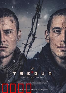 休战：战火中的救赎