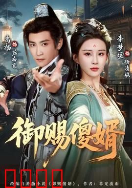 御赐傻婿：傻人有傻福