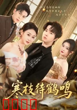 寒枝待鹤鸣：孤独守望者