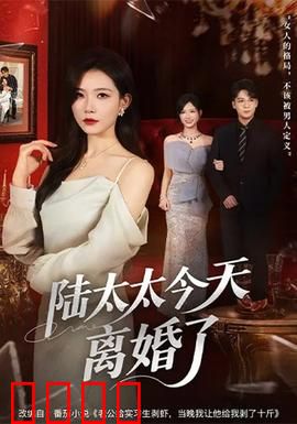 陆太太今天离婚了：逆袭女王归来