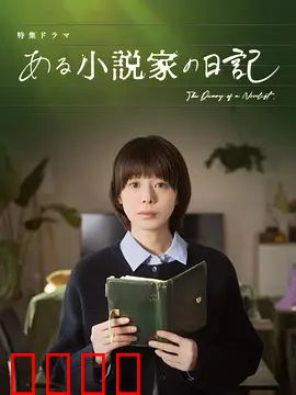 某小说家的日记：灵感与挣扎