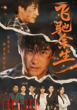 飞驰余生：老骥伏枥