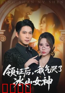 领证后，我气哭了冰山女神：婚姻大作战