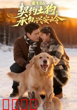 《重生86：商海逆袭