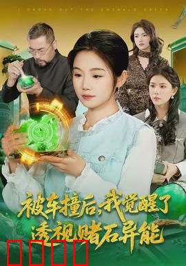 被车撞后，我觉醒了透视赌石异能了：逆袭之路