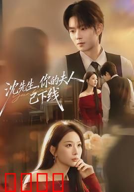 沈先生，你的夫人已下线：惊天内幕