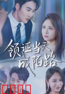 领证当天成陌路：婚姻的玩笑