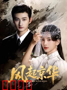 风起京华：暗夜谍影