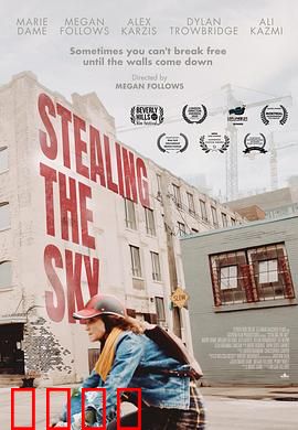 窃取天空：云端阴谋