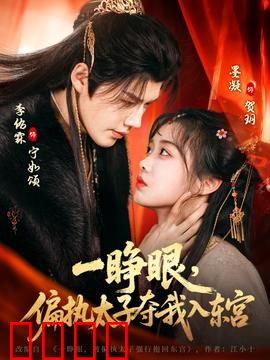 一睁眼，偏执太子夺我入东宫：太子强宠