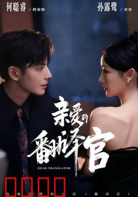 亲爱的翻译官：翻译官的爱情与成长