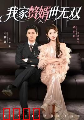 我家赘婿世无双：赘婿逆袭打脸