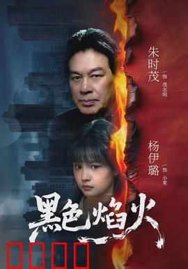 黑色焰火：复仇之火