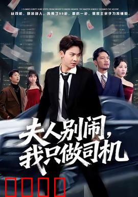 夫人别闹我只做司机：霸总司机逆袭记