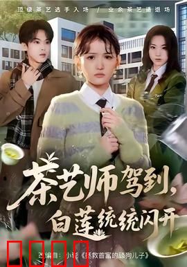 茶艺师驾到白莲统统闪开：茶界女王崛起