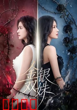 金银双姝：豪门暗战