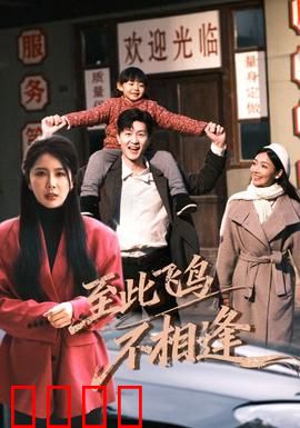 到此飞鸟不相逢：错过的轨道