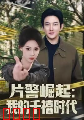 片警崛起：基层英雄记