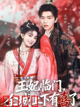 王妃临门全城上下有喜了：王妃有喜闹翻天