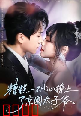 糟糕，一不小心撩上了京圈太子爷：命中注定