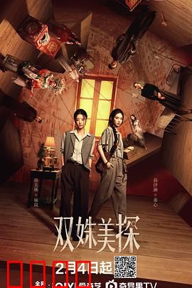 双姝美探：智破迷案