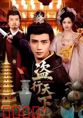 盗行天下：暗夜盗影