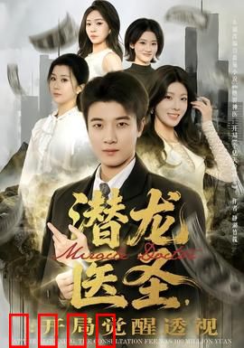 潜龙医圣，开局觉醒透视：医道逆袭之路