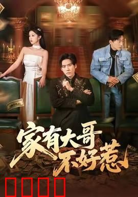 《大哥归来：重出江湖》