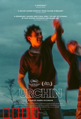 街头顽童：逆境中的光芒