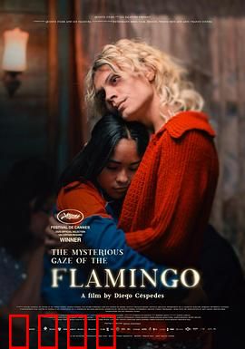 弗拉明戈的神秘眼神：舞动命运